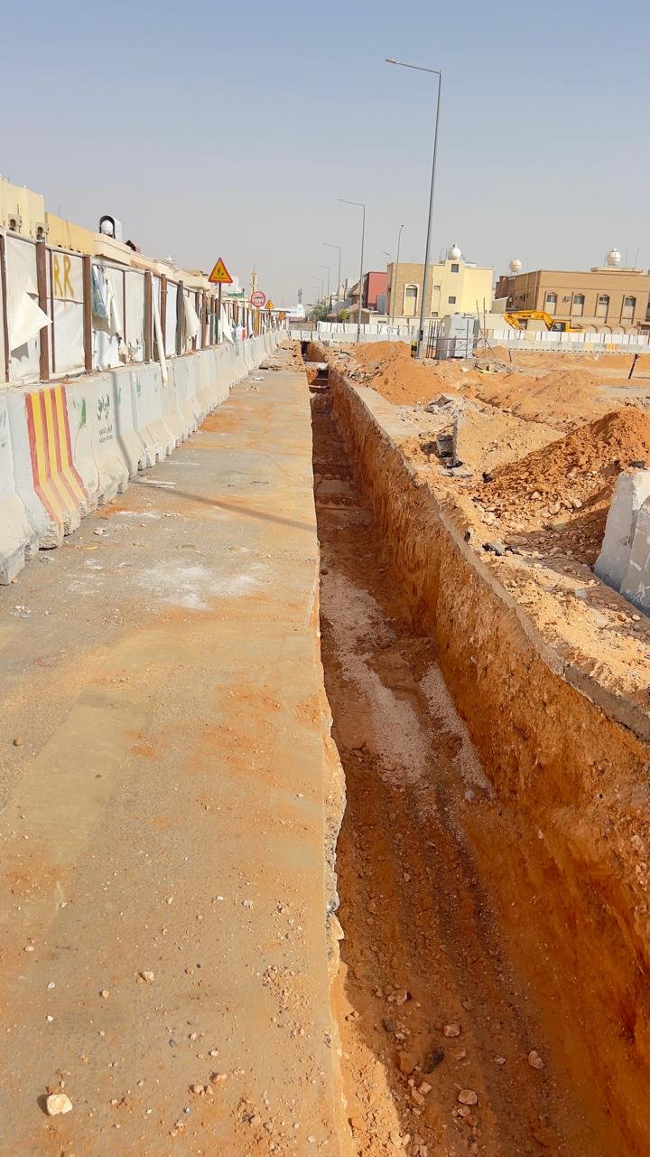 Green Riydh Project — صورة 4